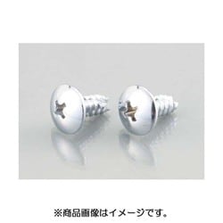 トラスタッピングビス（クローム） 5X12/2PC 0900-056-09100