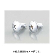 トラスタッピングビス(クローム) 5X12/2PC 0900-056-09100