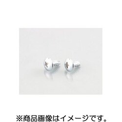 トラスタッピングビス（クローム） 5X14/2PC 0900-056-09101