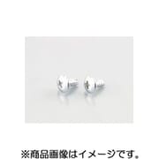 トラスタッピングビス（クローム） 5X14/2PC 0900-056-09101