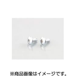トラスタッピングビス（クローム） 5X16/2PC 0900-056-09102