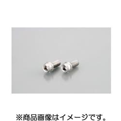 ビビットボルト ステンレス 6X100/1PC 0900-060-00016