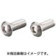 ボタンキャップボルト（ステン） 6X10/2PC 0900-060-20001