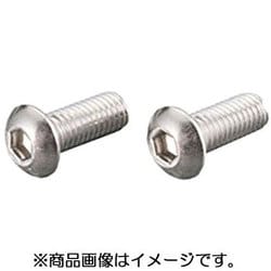 ボタンキャップボルト（ステン） 6X10/2PC 0900-060-20001