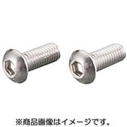 ボタンキャップボルト(ステン) 6X10/2PC 0900-060-20001