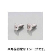 皿キャップボルト ステンレス 6X25/2PC 0900-060-30003