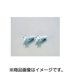 フランジ付SHボルト ユニクロ 6X30/2PC 0900-062-00009