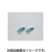フランジ付SHボルト ユニクロ 6X30/2PC 0900-062-00009
