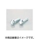 F付六角ボルト（ユニクロ） 6X45/2PC 0900-062-02008