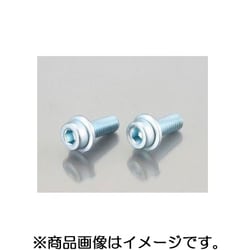 F付キャップボルト ステンレス 6X15/2PC 0900-062-20001