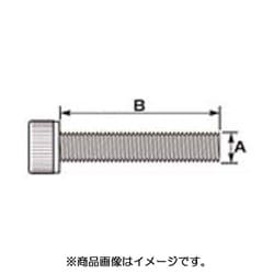 キャップボルト（ステンレス） 1OX45/P1.25/1PC 0900-100-10006