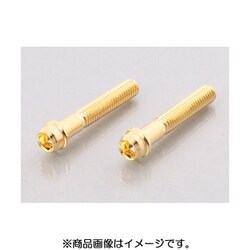 ビビットボルト（24K） 0901-060-00007