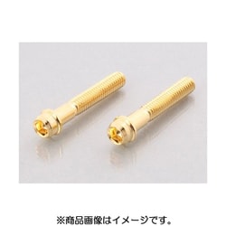 ビビットボルト（24K） 0901-060-00011