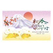 2020年 年賀はがき 金箔 3枚パック NO.19 D19
