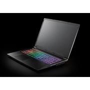 GALLERIA ゲーミングノートパソコン 17.3型/Windows 10 Home 64ビット/Core i5-9300H/2.4GHz/16GB/SSD256GB+1TBHDD/NVIDIA GeForce GTX1650/ドライブなし GN50G165D7