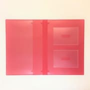 現場に連れてくファイル レッド