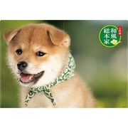 豆助Wポケットクリアファイル