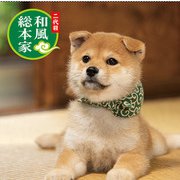 豆助付箋 全身