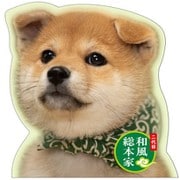 豆助ダイカットメモ