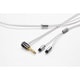 Glorious force Custom IEM 2pin 4.4mm L 1.2m