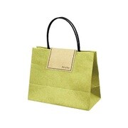 chiisai bag アップルグリーン