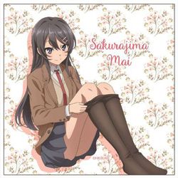 新素材新作 ヨドバシ.com - 青春ブタ野郎はバニーガール GRANUP グラナップ 掃除用品
