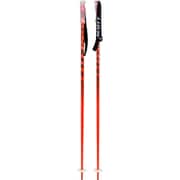 Pole 540 1103220335 110cm 2本セット [スキー ストック 一般]