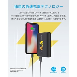 ヨドバシ.com - アンカー Anker A1241511-PPE [PowerCore 13400 Pokemon Limited Edition  ピカチュウ＆イーブイモデル black] 通販【全品無料配達】