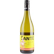 サンテ・シャルドネ 2018年 デュデ・ノーダン 750ml フランス [白ワイン]