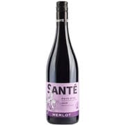 サンテ・メルロー 2018年 デュデ・ノーダン 750ml フランス [赤ワイン]