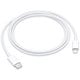 USB-C Lightningケーブル 1m MX0K2FE/A
