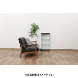ヨドバシ.com - 不二貿易 FUJI BOEKI 98881 [ガラスコレクションケース