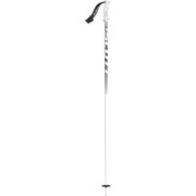 Pole 540 1103220100 105cm 2本セット [スキー ストック 一般]