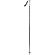 Pole 540 1103220190 105cm 2本セット [スキー ストック 一般]