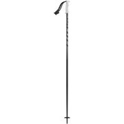 Pole 540 1103220190 115cm 2本セット [スキー ストック 一般]