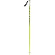 Pole 540 1103220330 105cm 2本セット [スキー ストック 一般]