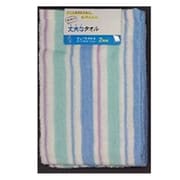 マーチストライプ BLUE フェイスタオル 2枚組 FJ807401