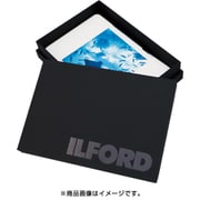 PHOTOCARD Matt イルフォードフォトカードマット 102x152 50枚 433175