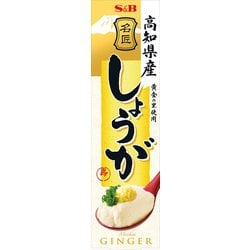 S＆B 名匠にっぽんのしょうが 31G