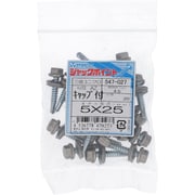 547-027 [三価ジャック ステンキャップ付き6角AZ5X25 入数20入]