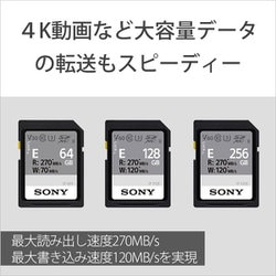 ヨドバシ.com - ソニー SONY SF-E128 T1 [SF-Eシリーズ SDXCカード