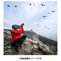 ヨドバシ.com - ソニー SONY SF-Mシリーズ SDXCカード 128GB ヨドバシ.com - ソニー SONY SF-Mシリーズ SDXCカード 128GB