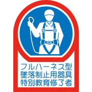 233128 [緑十字 ヘルメット用ステッカー フルハーネス型墜落制止用器具特別教育修了者 35×25mm 10枚組 オレフィン]