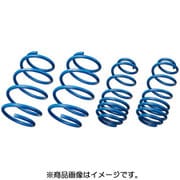 Super DOWNSUS(スーパーダウンサス) リアのみ EST-141R