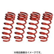 ESB-553R [Super DOWNSUS(スーパーダウンサス) GT リアのみ]