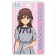 22/7 ナナブンノニジュウニ ABSパスケース 立川絢香 [キャラクターグッズ]