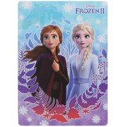 キャラクターグッズ S4136969 下敷 アナと雪の女王2