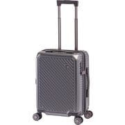 スーツケース 拡張ファスナーキャリー 旅行日数目安：1～2泊 35L/拡張時41L TSAロック搭載 機内持ち込み可 ALK-6020-18 ストーン