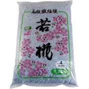 繊維壁若椛 2010g NO.4