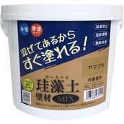 珪藻土壁材MIX 3kg ヤマブキ